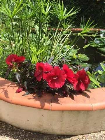 D'hote Au Fil Du Canal 82 לינה וארוחת בוקר 3*