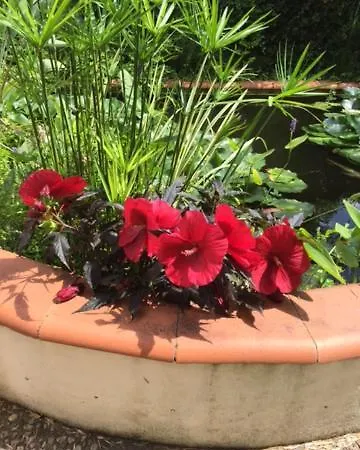 D'hote Au Fil Du Canal 82 B&B 3*